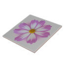 Suche nach transparent fliesen Blume