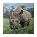 Suche nach nashorn fliesen Rhinoceros