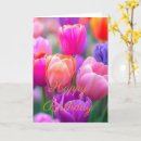 Suche nach rosa tulpe karten Für sie