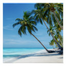 Suche nach exotisch poster Jede person