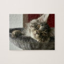 Suche nach waschbär puzzle Für alle