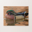 Suche nach schwimmen im wasser puzzle Tier