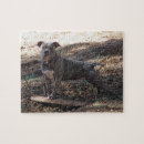 Suche nach pitbull puzzle Jede person