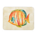 Suche nach aquarium magnete Meeresleben