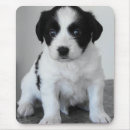 Suche nach sitzender hund mousepads Welpe