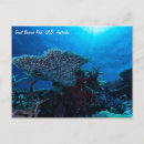 Suche nach riff postkarten Ozean