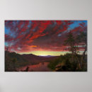 Suche nach roter himmel poster Bäume
