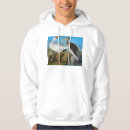 Suche nach ibis kleidung Vogelmalerei