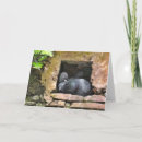 Suche nach blank inside karten Leere innenseite