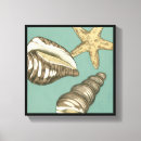 Suche nach riff leinwandbilder Muschel