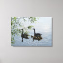 Suche nach gänse leinwandbilder Tierwelt