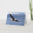 Suche nach weißkopfseeadler karten Raubtier