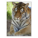 Suche nach tigerkarte Spaß
