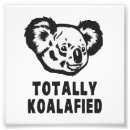 Suche nach niedlicher koala poster Lustig