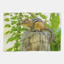 Suche nach chipmunks geschirr tücher Lustig