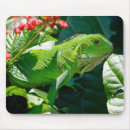 Suche nach iguana mousepads Tier