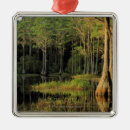 Suche nach see ornamente Fluss
