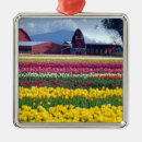 Suche nach feld ornamente Blume