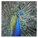 Suche nach bunte federn fliesen Grün