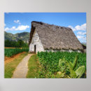 Suche nach tabak poster Bauernhof