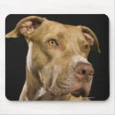Suche nach rote nase mousepads Tier