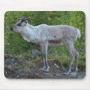 Suche nach rentiere mousepads Tierwelt