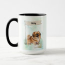 Suche nach pekinese Jede person