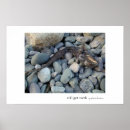 Suche nach zahn poster Tier