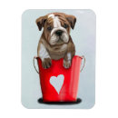 Suche nach eimer magnete Welpe