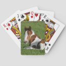 Suche nach sinti roma vanner pferd spiele Foal
