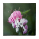 Suche nach zerbrochen fliesen Blume