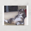 Suche nach bh postkarten Lustig