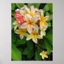 Suche nach tropischer garten poster Gelb