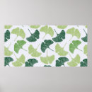 Suche nach ginkgo poster Biloba