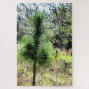 Suche nach wachstum puzzle Baum
