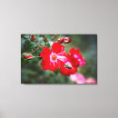 Suche nach strauch kunst Blumen
