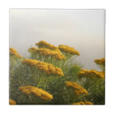 Suche nach wilde blumen fliesen Gelb