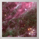 Suche nach tarantula poster Space
