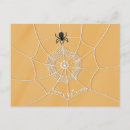 Suche nach spinnennetz postkarten Insekt