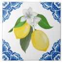 Suche nach amalfi küste fliesen Mediterran