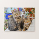 Suche nach schöne katzen puzzle Kätzchen