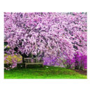 Suche nach wintergarten poster Pflanze