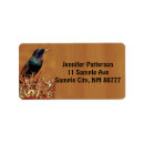 Suche nach starling Vogel