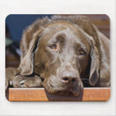 Suche nach nicht traurig mousepads Tiere