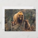Suche nach tierfamilie karten Braunbär