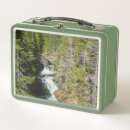 Suche nach wildnis brotdosen Wald