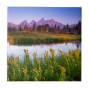 Suche nach snake fliesen Landschaft