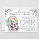 Suche nach racoon postkarten Wald