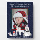 Suche nach ein fuchs fotoplatten Winter