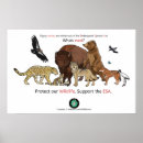 Suche nach spezies poster Gefährdet